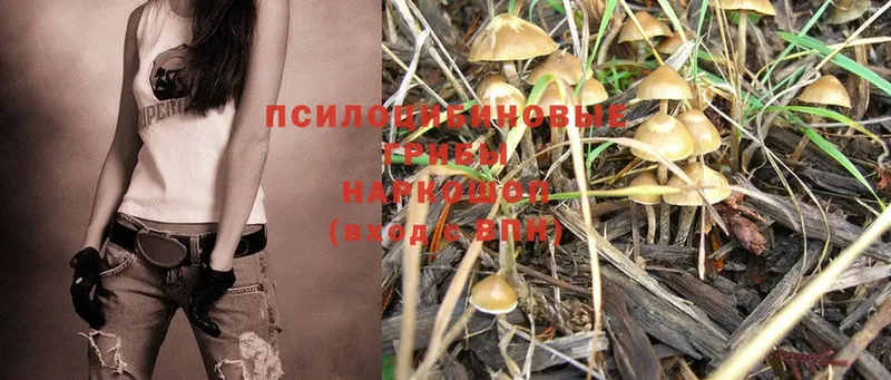 это формула  Грязовец  Галлюциногенные грибы Psilocybe 